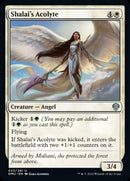 Acolyte de Shalai [Dominaria Uni]