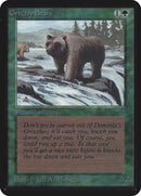 Ours Grizzlys [Édition Alpha]