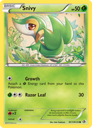 Snivy (RC1/RC25) [Negro y Blanco: Tesoros Legendarios]