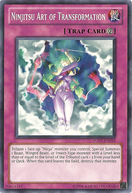 Art Ninjitsu de la Transformation [TU07-FR019] Commune