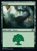 Forêt (276) [La Guerre des Frères]