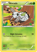 Nincada (9/108) [XY : Cieux Rugissants]