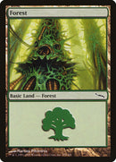 Forêt (305) [Mirrodin]