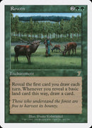 Rowen [Séptima Edición]