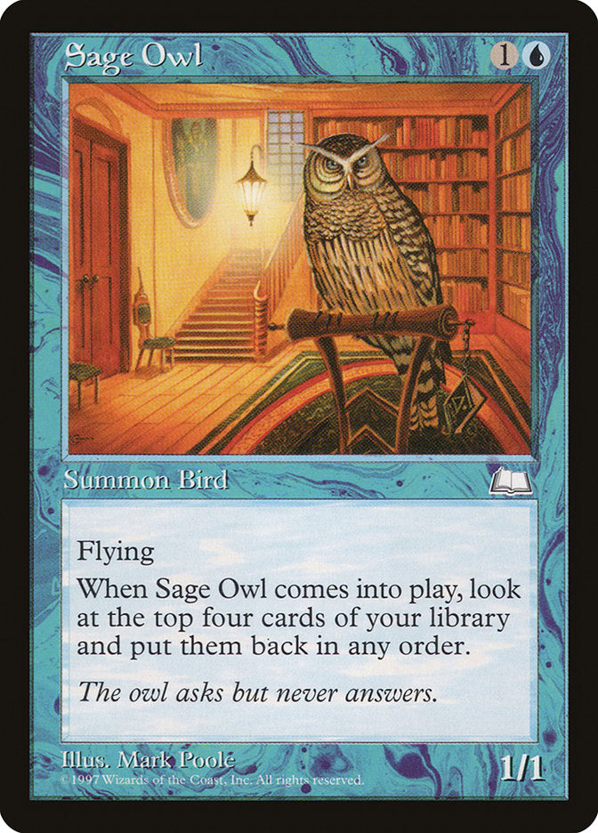 Hibou Sage [Météorite]