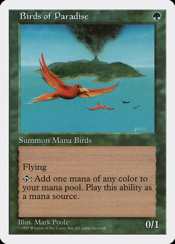 Aves del Paraíso [Quinta Edición]