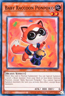 Bébé Raton Laveur Ponpoko [OP22-FR005] Super Rare