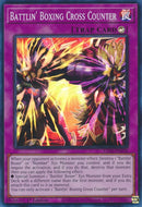 Contre direct du boxeur furieux [LD10-FR038] Super Rare