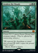 Despertar el Bosque [The Brothers' War]