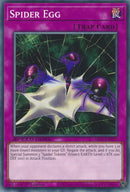 Œuf d'araignée [SBC1-END17] Commun