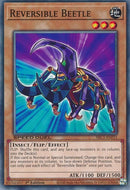 Scarabée réversible [SBC1-FRN11] Commune