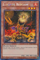 Floraison de Feu Solitaire [RA01-FR002] Secret Rare Prismatique