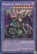 Predaplante Dragostapelia [RA01-FR027] Collector Rare Prismatique