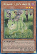 Danger !? Jackalope? [RA01-FR013] Collector's Rare Prismatique