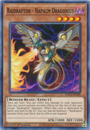 Raidraptor - Dragonius Napalm [DLCS-FR100] Commune