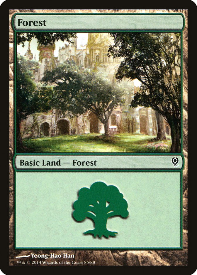 Forêt (85) [Duel Decks: Jace vs. Vraska]