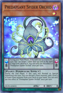 Predaplante Orchidée Araignée [DUPO-FR035] Ultra Rare