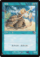 Tortue cornue [La Liste]