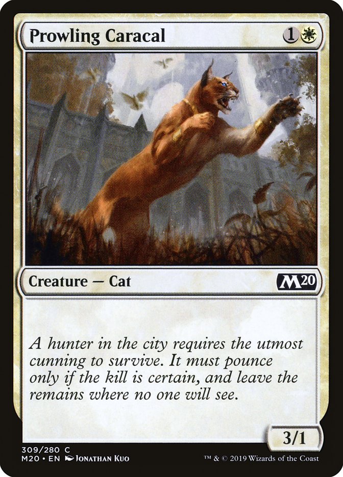 Caracal rôdeur [Magic 2020]