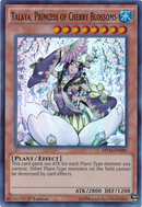 Talaya, Princesse des Cerisiers [MP14-FR089] Super Rare