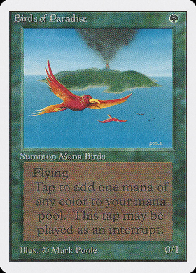 Oiseaux de Paradis [Édition illimitée]