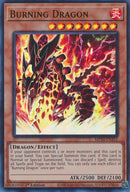 Dragon Flamboyant [MP24-FR251] Ultra Rare