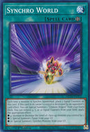 Synchro World [MP24-EN372] Común
