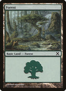 Bosque (382) [Décima Edición]