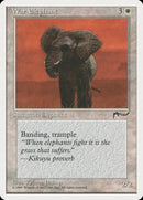 Éléphant de guerre [Chroniques]