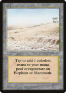 Cimetière d'éléphants [Arabian Nights]