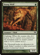 Loup de la pénombre [Ascension des ténèbres]