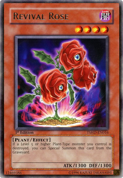 Rose de la Renaissance [TSHD-FR016] Rare