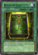 Livre de la Vie [TP5-EN008] Rare