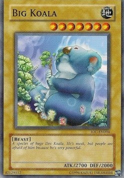 Gran Koala [IOC-SP004] Común
