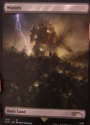Terres désolées (704) (Extended Art) [Secret Lair Drop Promos]