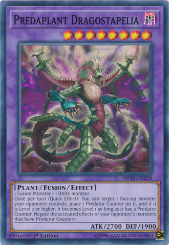 Prédaplante Dragostapelia [MP19-FR228] Commune