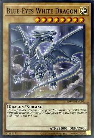 Dragon Blanc aux Yeux Bleus (Erreur d'impression Illimitée) [SDWD-EN003] Commune