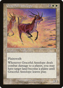 Antilope Gracieuse [Odyssée]