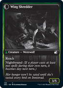 Admirador de aves // Desgarrador alado [Innistrad: Doble función]