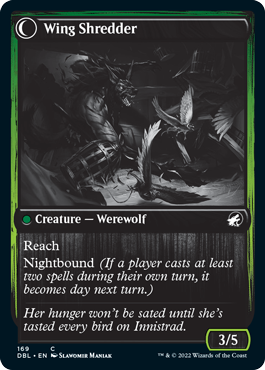 Admirador de aves // Desgarrador alado [Innistrad: Doble función]