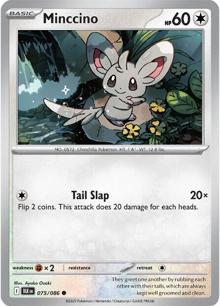 Minccino (075/086) [Escarlata y Púrpura: Rayo Negro]