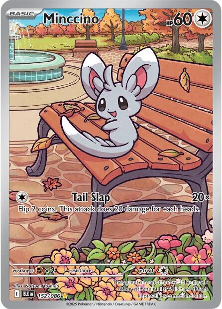 Minccino (152/086) [Escarlata y Púrpura: Rayo Negro]