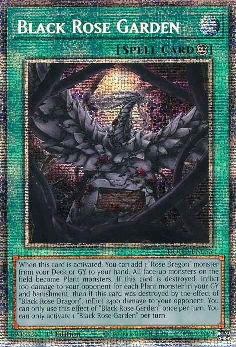 Jardin de la Rose Noire (Starlight Rare) [DOOD-FR055] Starlight Rare