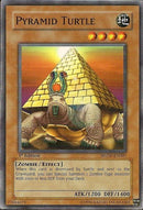 Tortue Pyramide [SDZW-FR007] Commune