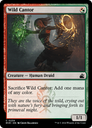 Cantor sauvage [Ravnica Remastered]