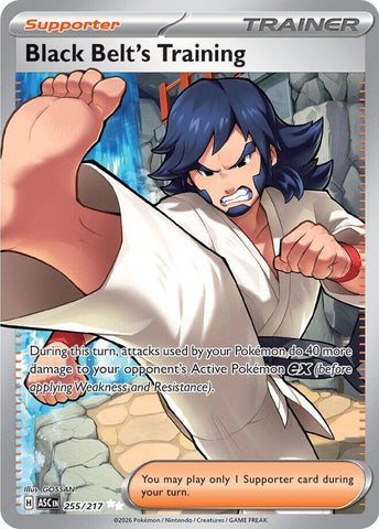 Entrenamiento de cinturón negro (255/217) [Megaevolución: Héroes ascendidos]