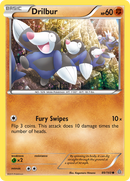 Rototaupe (89/160) [XY: Primo-Choc]
