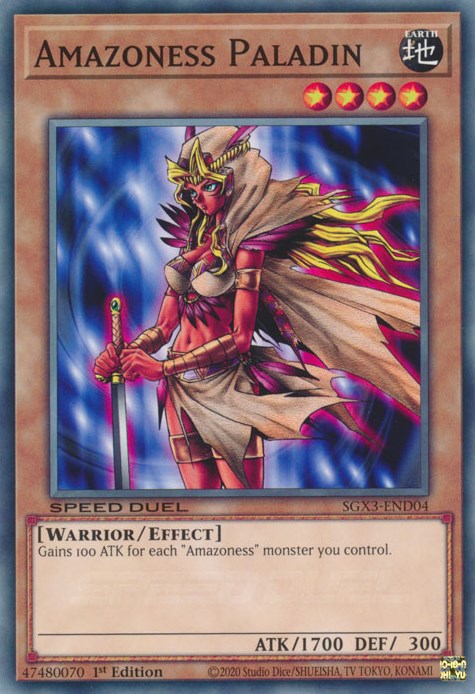 Paladín Amazona [SGX3-END04] Común