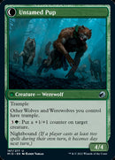 Dresseloups // Chiard sauvage [Innistrad: Chasse de minuit]