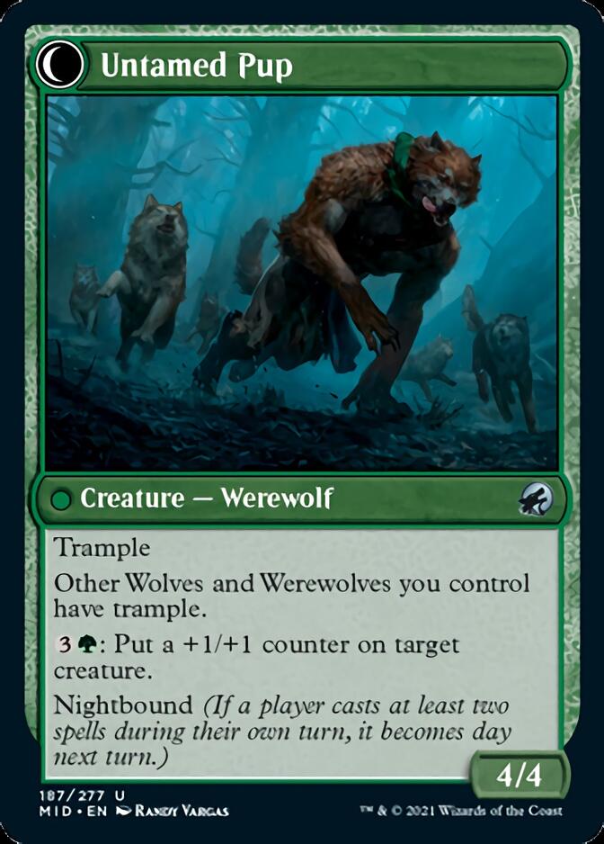 Dresseloups // Chiard sauvage [Innistrad: Chasse de minuit]